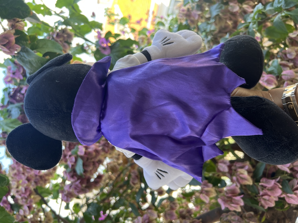 Disney Parks Exclusive 2019 Halloween Mickey Drakula