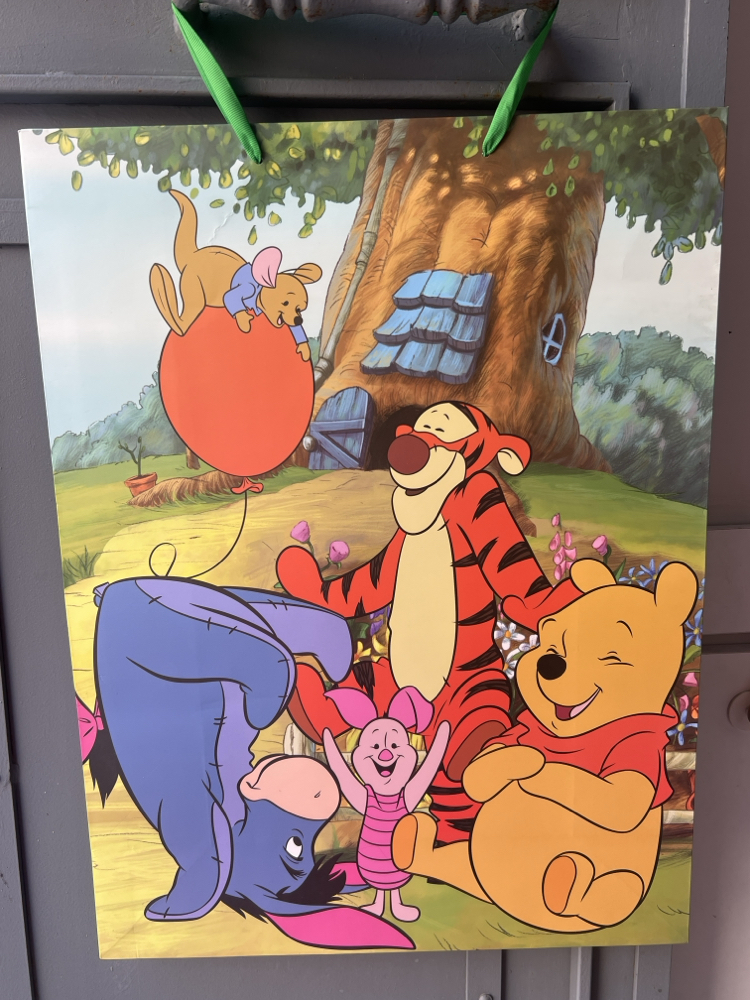 Winnie and Friends Hediye Poşeti