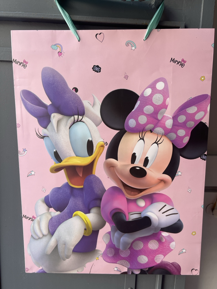 Minne ve Daisy Hediye Poşeti