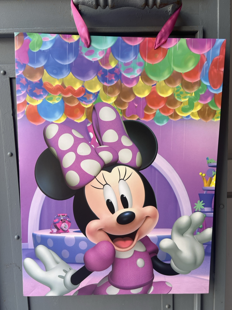 Minnie Mouse Hediye Poşeti