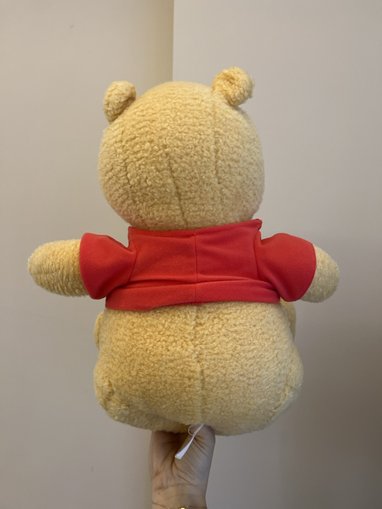 Winnie The Pooh Peluş 