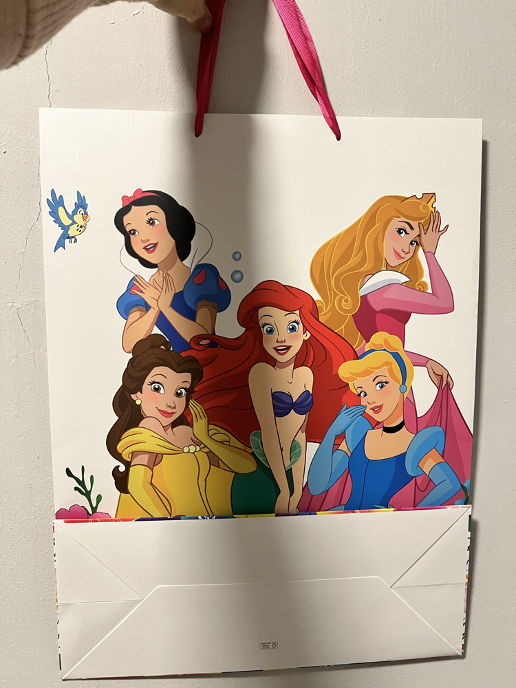 Disney Prensesler Hediye Poşeti
