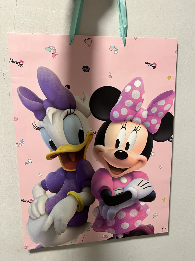 Minne ve Daisy Hediye Poşeti