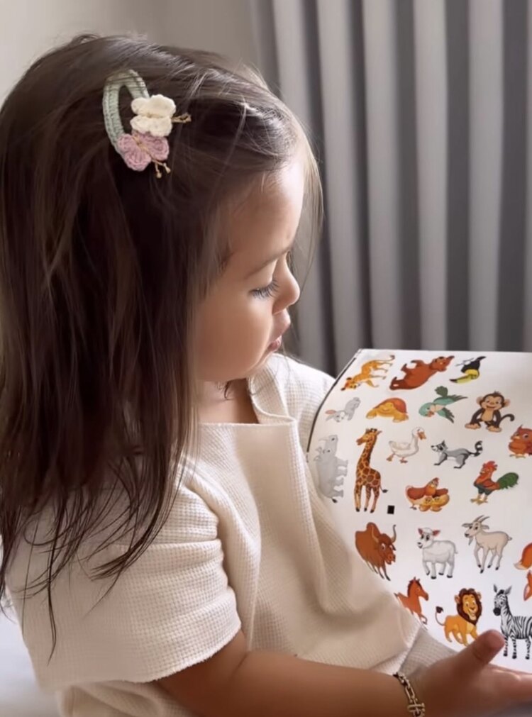 Kelebek Çıtçıt Toka
