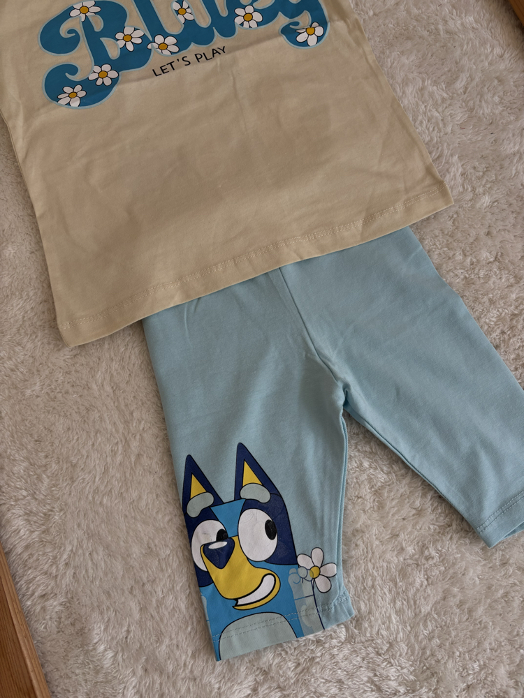 Bluey takım