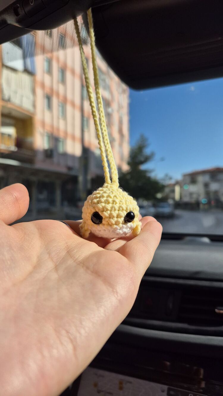 Luna Balina Araba Süsü