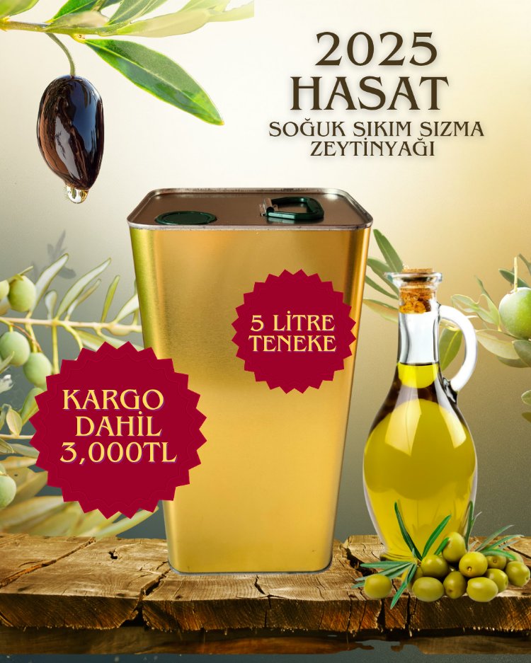 2025 hasat 5 litre soğuk sıkım sızma zeytinyağı 