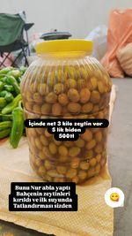 kırılmış yeşil zeytin
