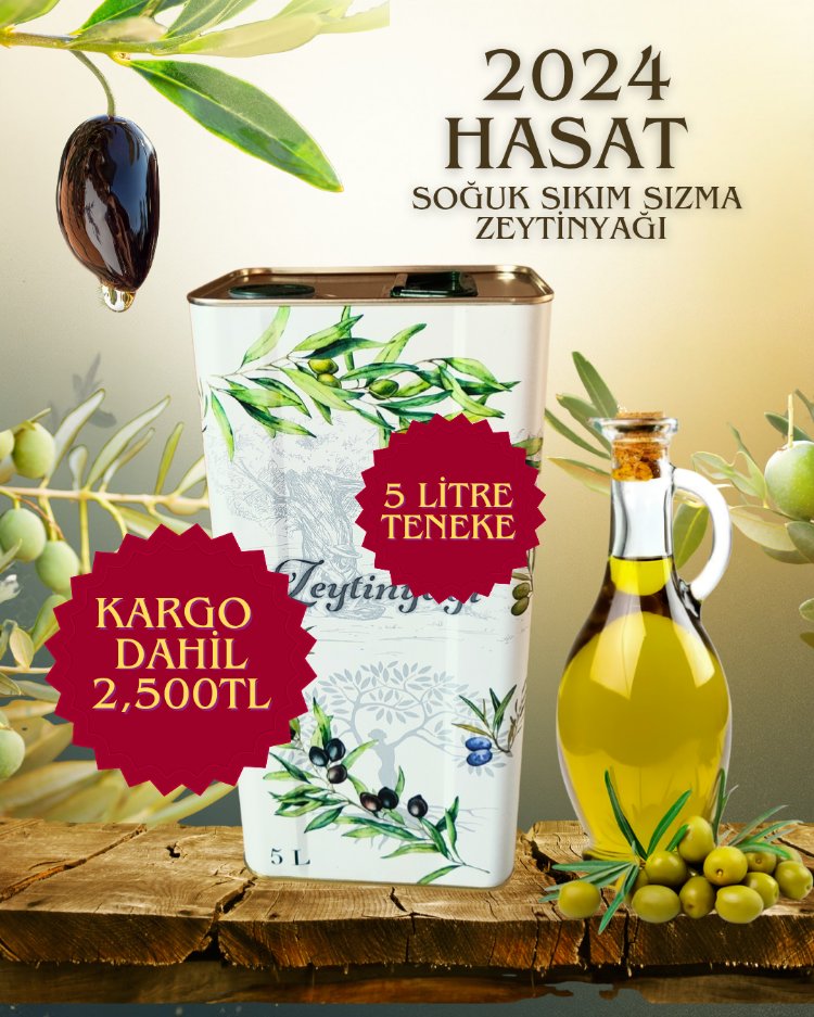 2024 hasat 5 litre soğuk sıkım sızma zeytinyağı