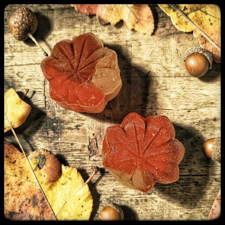 MOMİJİ MOONCAKE