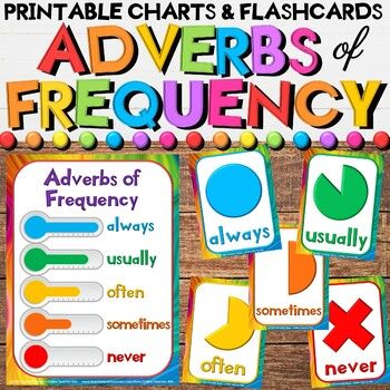Sıklık Zarfları Poster - A4 PDF - Adverbs of Frequency - miyaovenglish