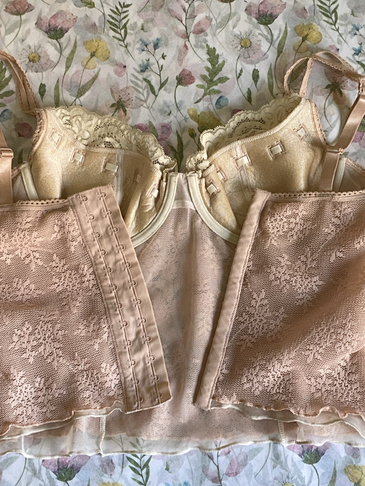 Vintage Rampage Lace Soft Pink Bustier