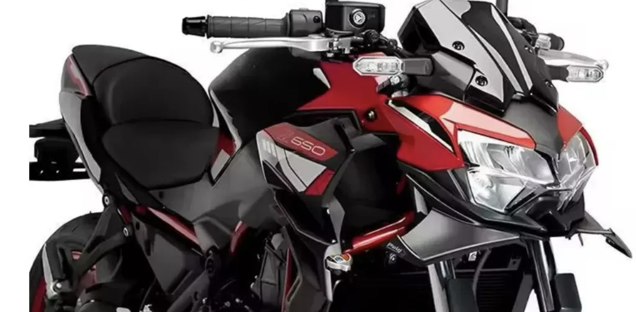 Kawasaki Z650 Karbon Winglet 
