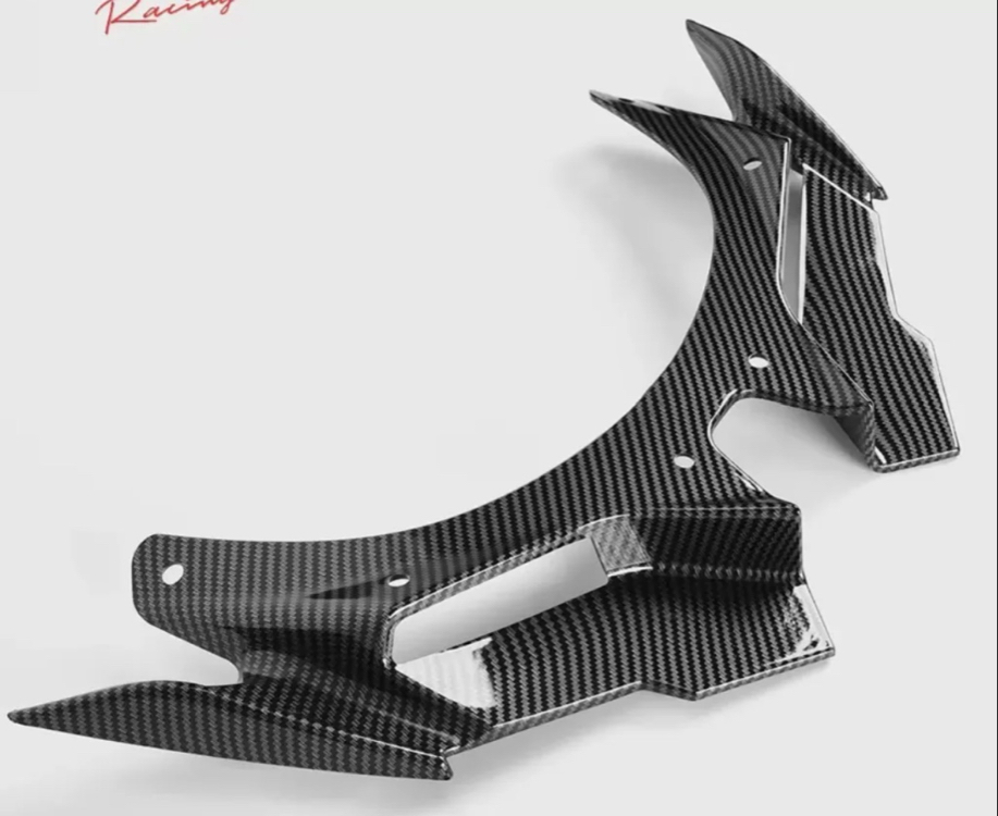 Kawasaki ZX4R Karbon Winglet 