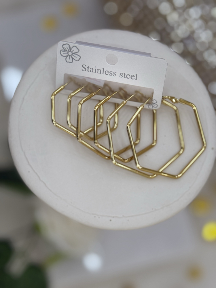 Stainless Steel Küpe