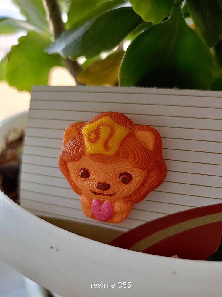 Aslan Burcu Charm 