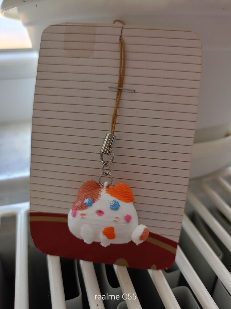 Karışık renkli kedi Charm 