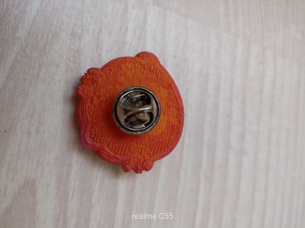 Akrep Burcu Pin 