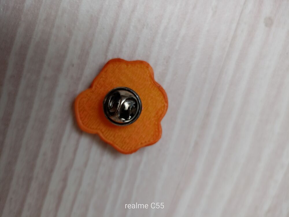 Aslan Burcu Charm 