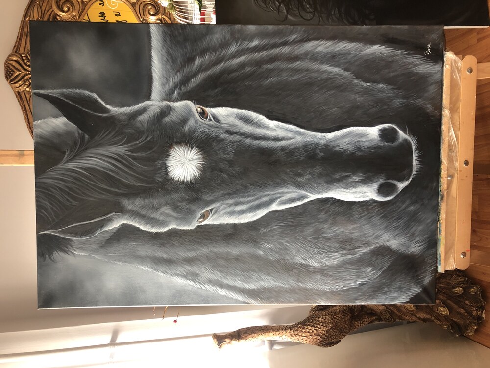 black horse
