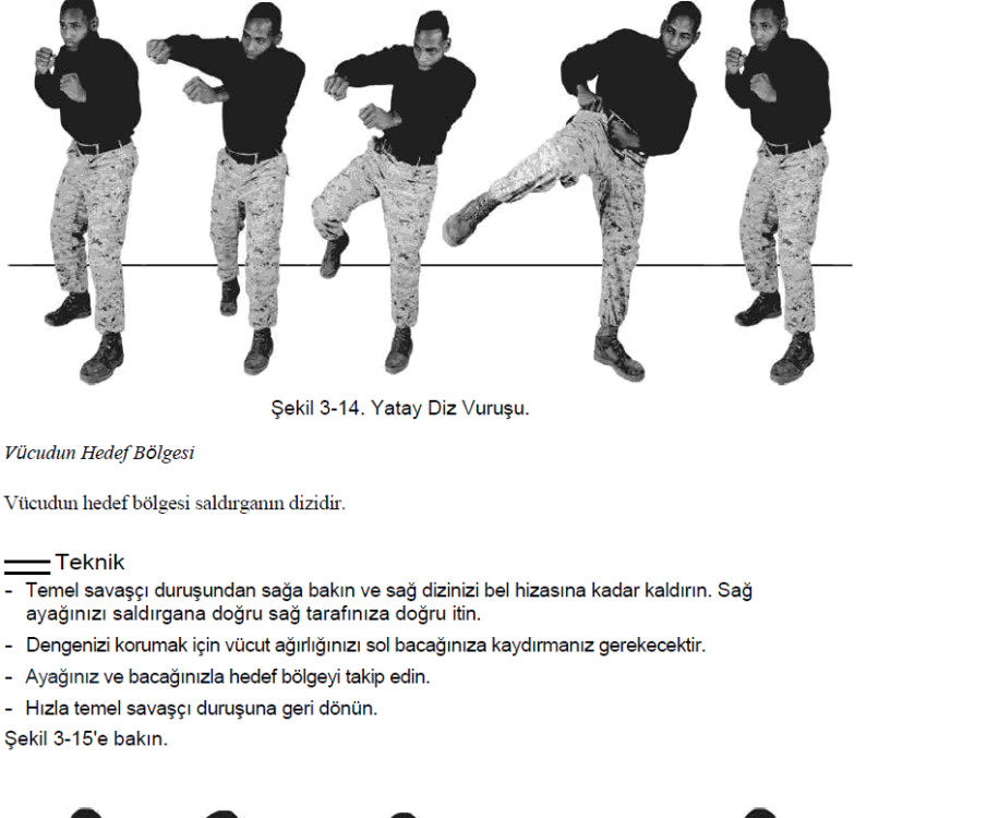 ABD Deniz Piyadeleri Yakın Dövüş Sanatları Doktrini (MCMAP)