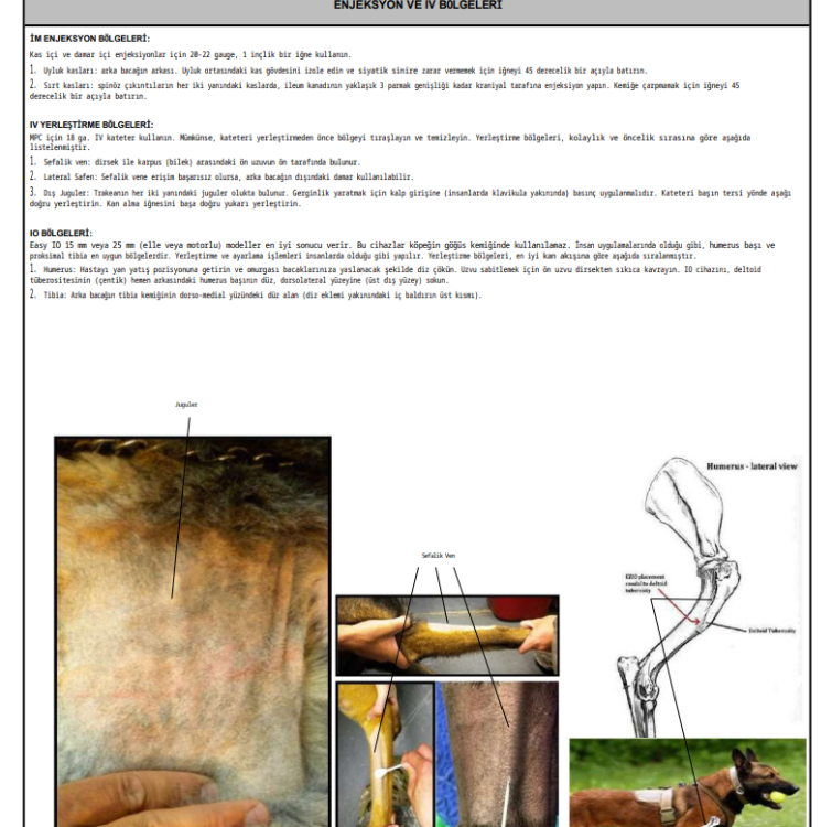 Ranger Medic Handbook - Taktiksel Tıp ve Hayat Kurtarma