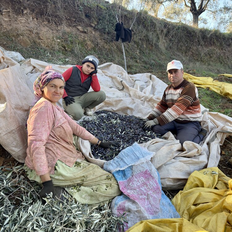 10 kg 0,3 dizem natürel sızma zeytin yağı