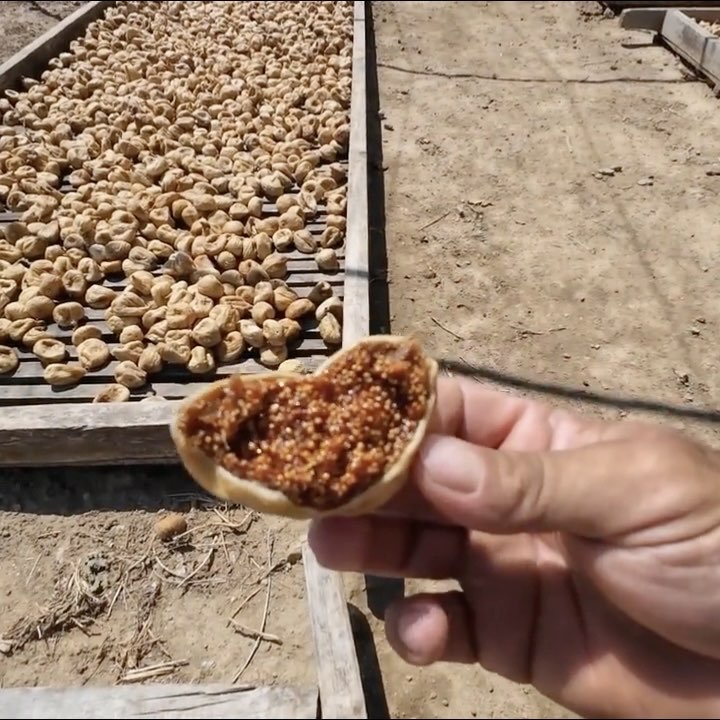 Orta boy 1 kg doğal bandırılmış dağ inciri