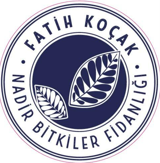 2026 / Soğanlı Bitkiler Dikim-Bakım Rehberi