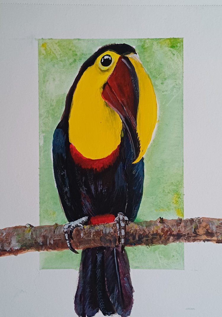 tucan