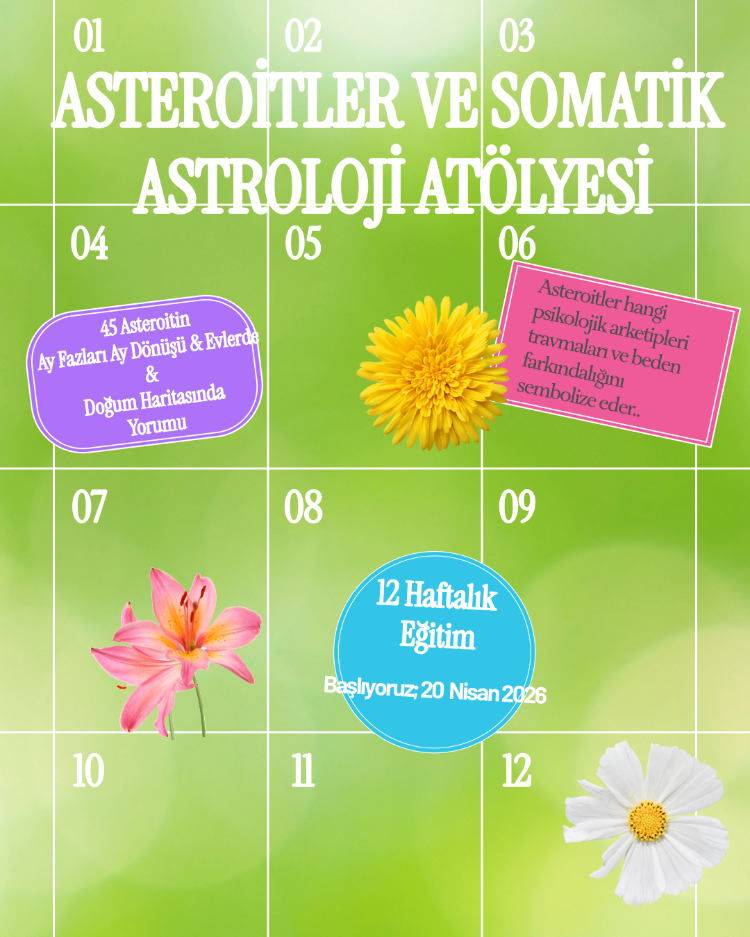 ASTEROİTLER VE SOMATİK ASTROLOJİ WORKSHOP
