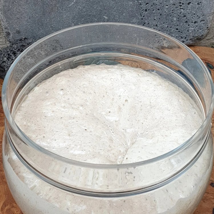 Ekşi Maya 19yıllık ( Karabuğday )200g