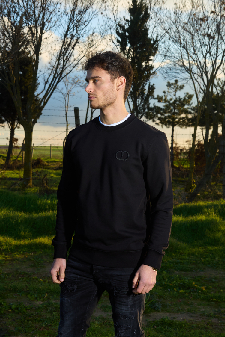 Dior sweatshirt 