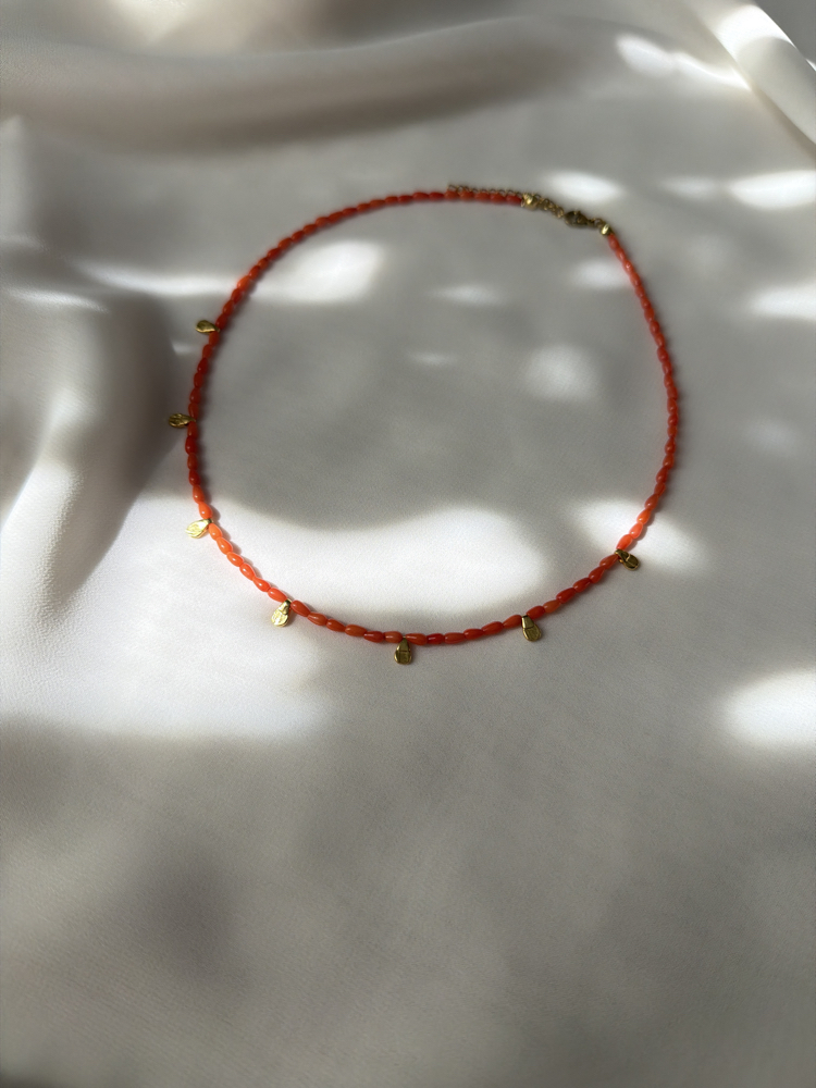 Minimalist- Mercan