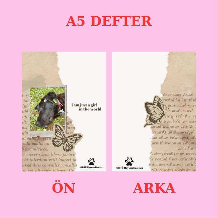 Queen is just a girl A5 Defter