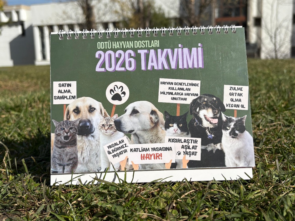 2026 Takvimi