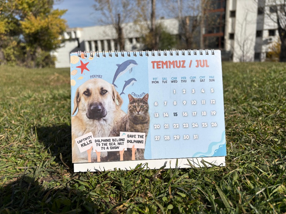 2026 Takvimi