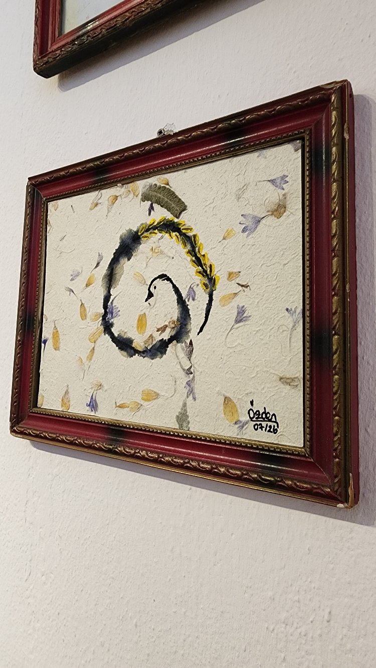 Duck - Resim