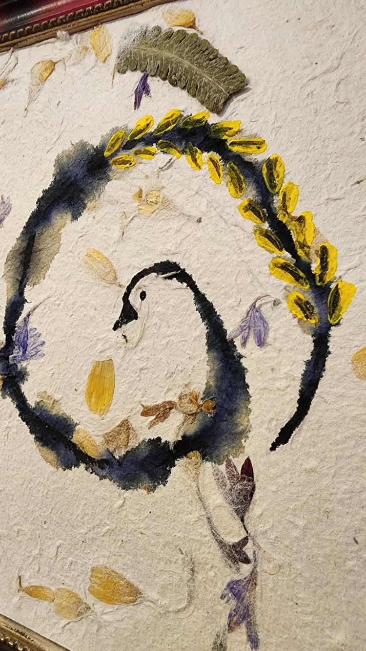 Duck - Resim