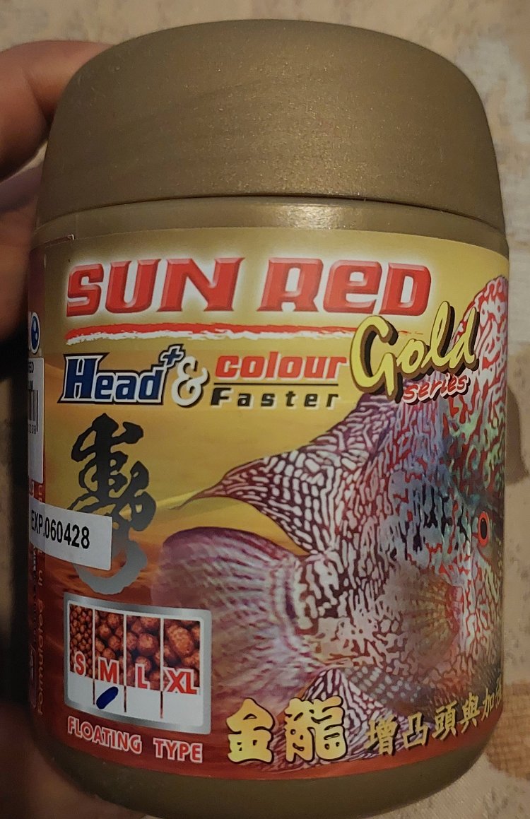 OKIKO SUN RED GOLD