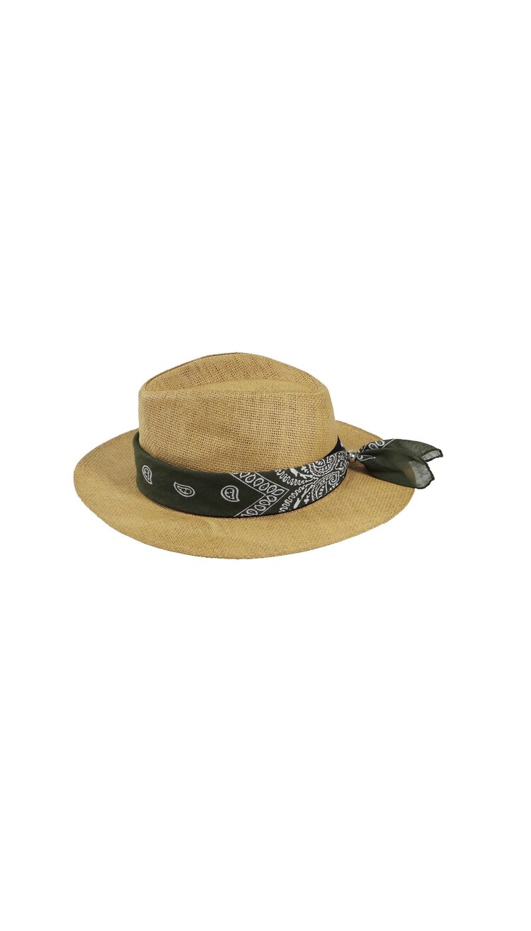 Panama•camel