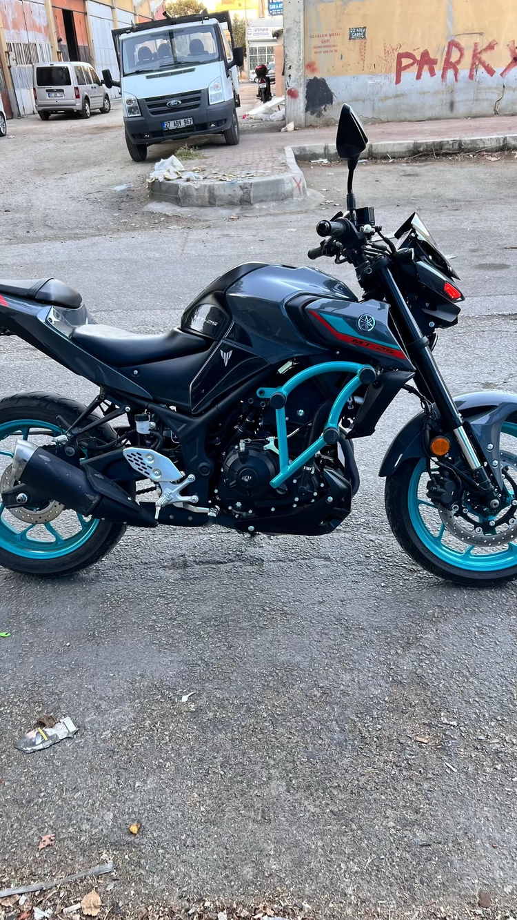 MT-25 KORUMA DEMİRİ  TURKUAZ