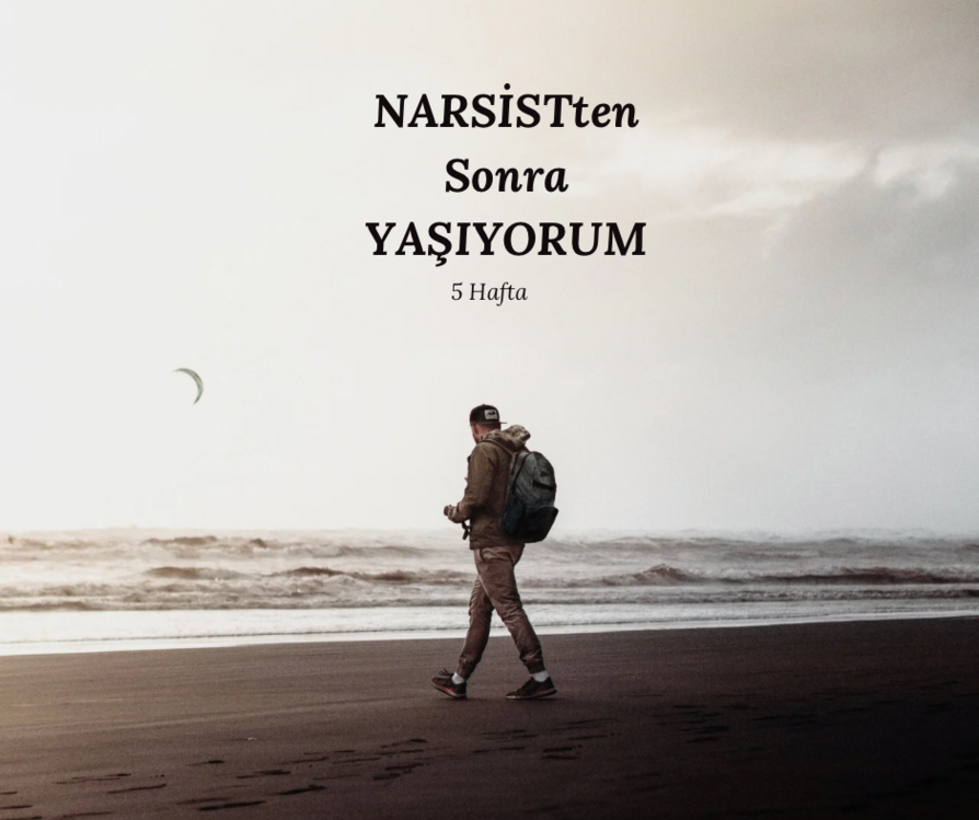 NARSİST EĞİTİMİ-2. SEVİYE- NARSİSTTEN SONRA YAŞIYORUM-30 GÜN