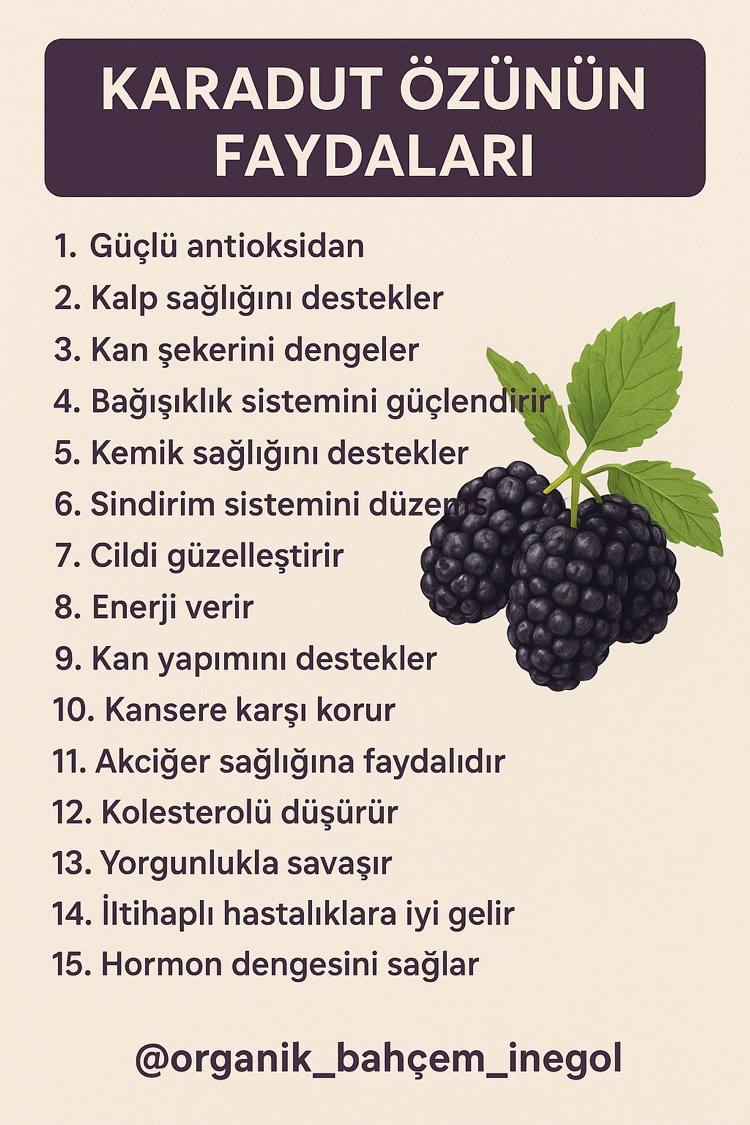 Karadut Özü ( 250 cc 400 gr )