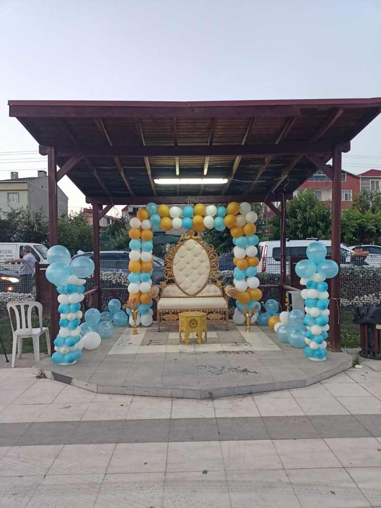 *1186* - ORGANİZASYON 59