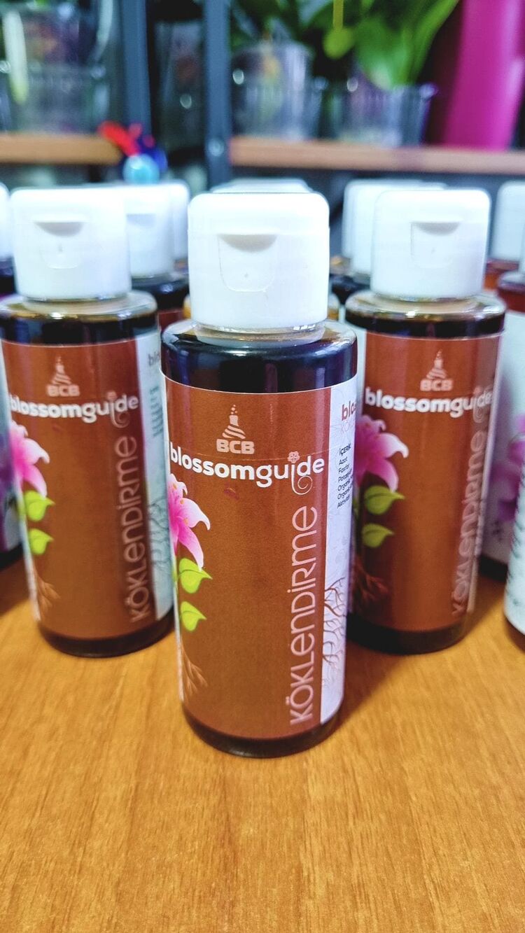 blossomguide köklendirme