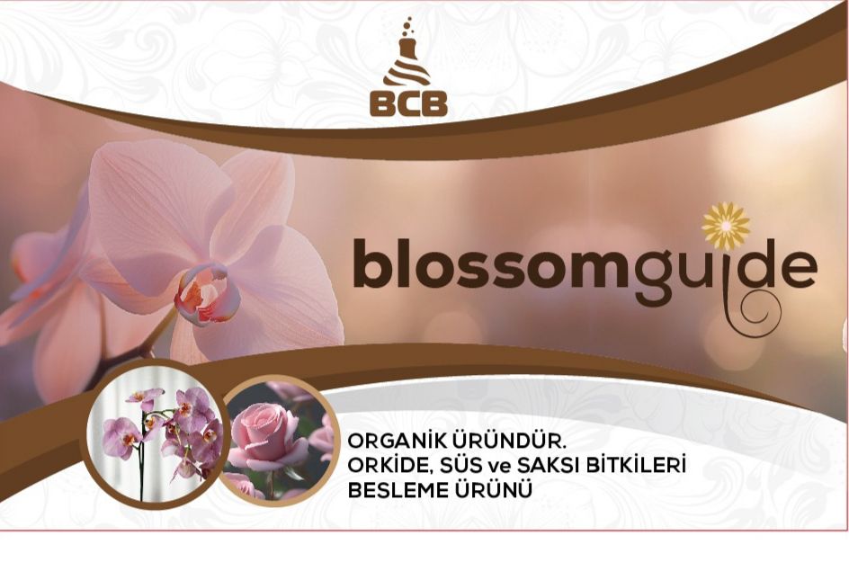 blossomguide 