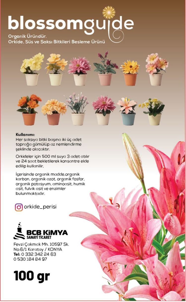 blossomguide 