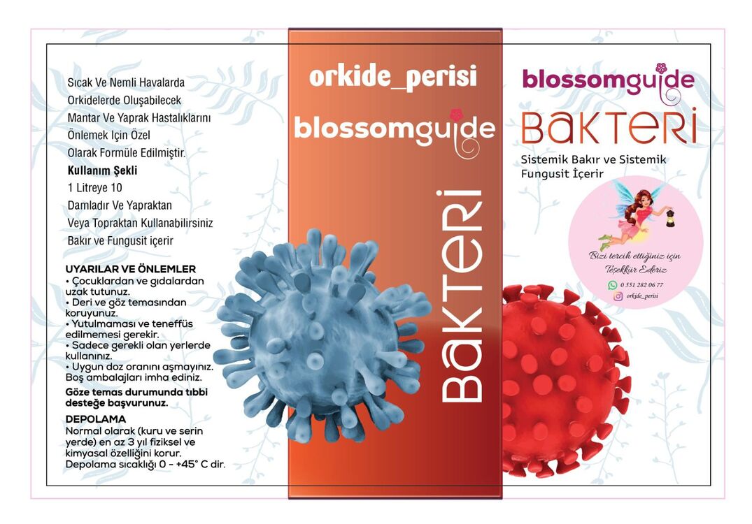 Blossomguide Bakteri