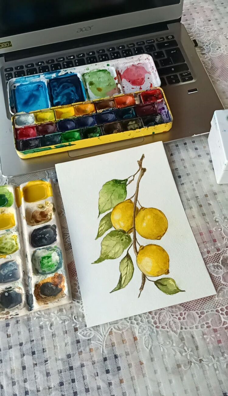 Sulu Boya Atölye & Ders Kayıtları (5 ders)